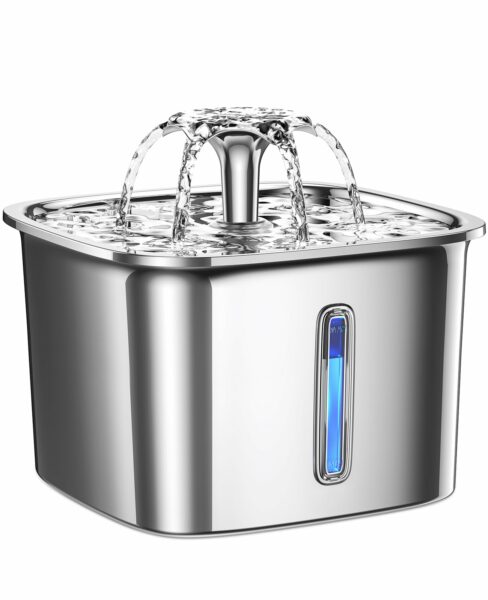 Best Dog Water Fountain: Top Picks for 2023
