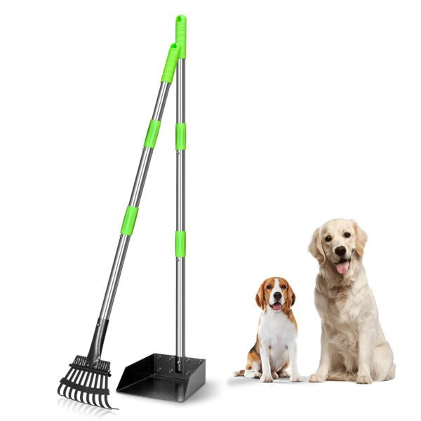 Best Dog Pooper Scooper: Top Picks for Easy Cleanup