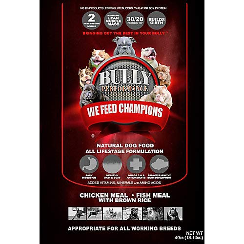 Best Dog Food for American Bully Breeds: Top Picks for Optimal Health