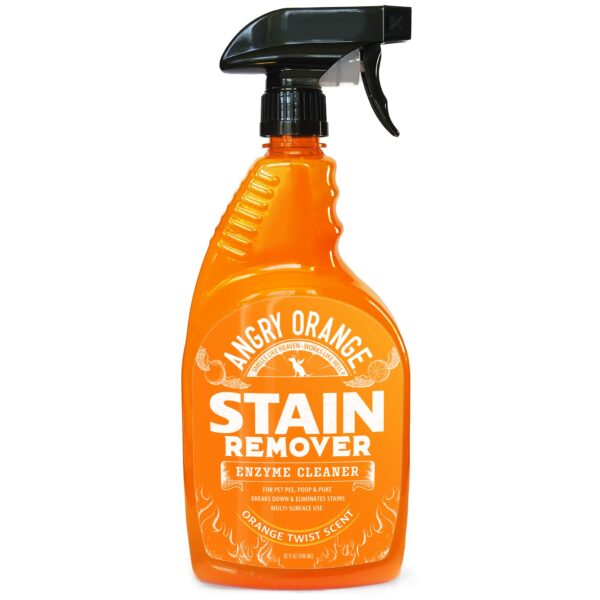 Best Carpet Cleaner for Dog Urine: Top Picks for Effective Stain Removal