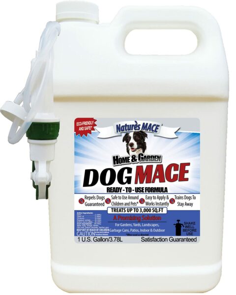 Best Dog Digging Repellent: Top Brands to Keep Your Yard Safe