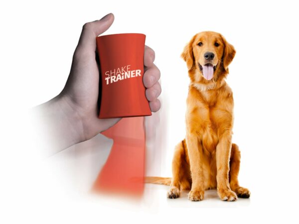 Best Dog Trainer: Top Picks for Effective Training Techniques
