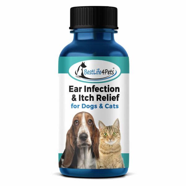 Best Antibiotic for Dog Ear Infection: Expert Recommendations