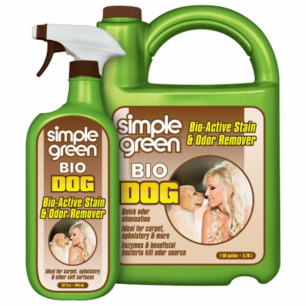 Best Carpet Cleaner for Dog Urine: Top Picks for Effective Stain Removal