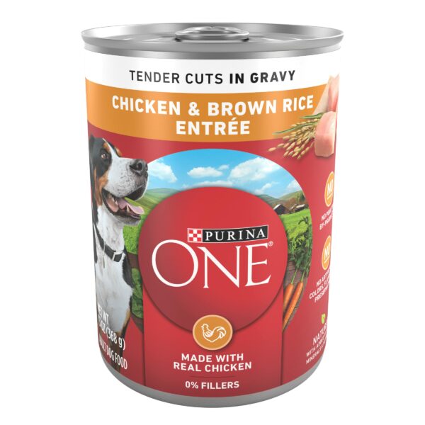 Best Can Dog Food for Optimal Nutrition and Taste