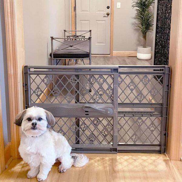 Best Dog Gates for Keeping Your Pup Safe and Secure