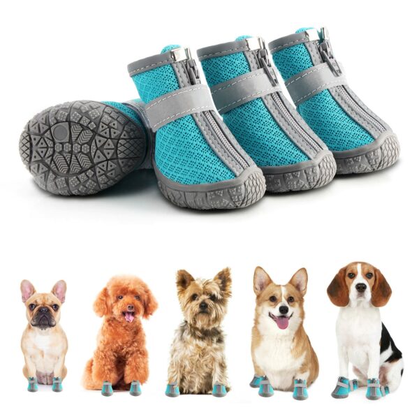 Best Dog Booties for All Seasons