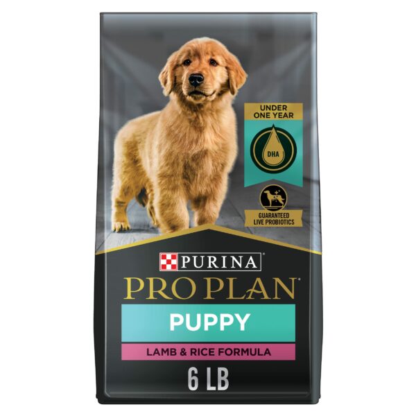 Best Dog Food for Puppies: Top Picks for Healthy Growth