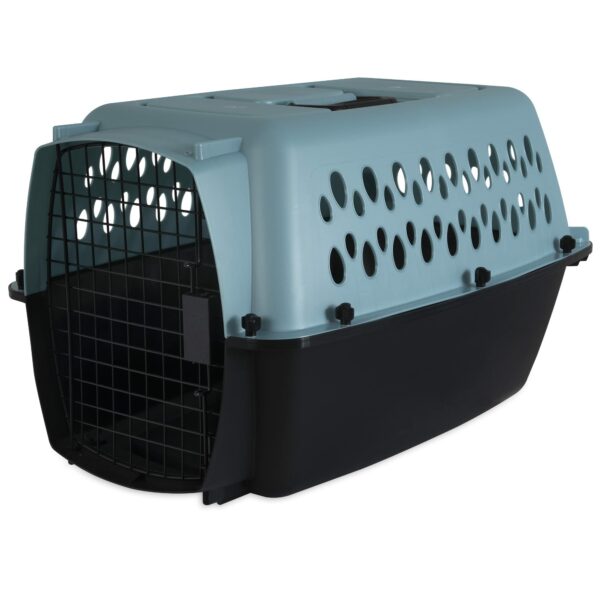 Best Dog Kennel: Top 10 Options for Your Furry Friend