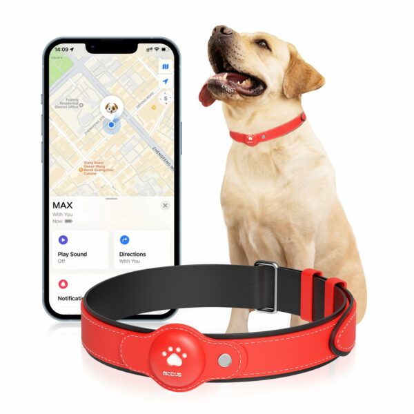Best Dog Tracking Collars: Top 8 Picks for 2023