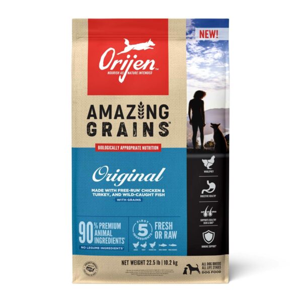 Best Dog Food with Grain: Top Picks for a Balanced Diet