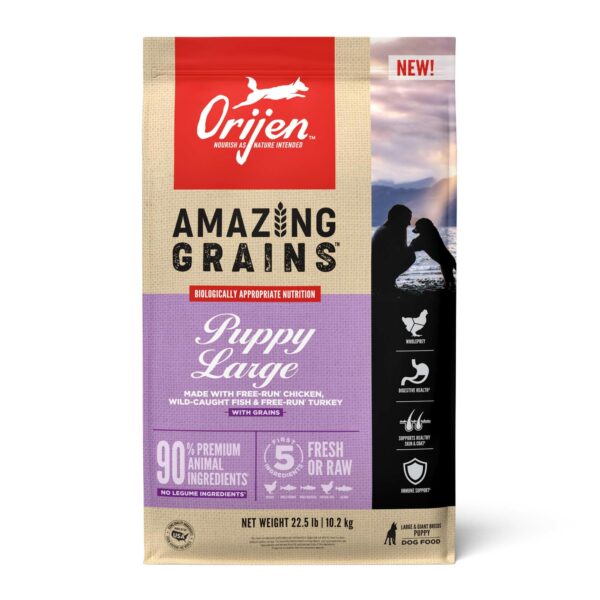Best Dog Food with Grain: Top Picks for a Balanced Diet
