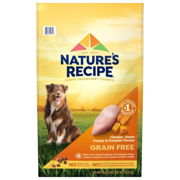 Best Grain-Free Dog Food for Optimal Canine Health