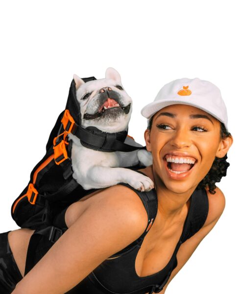 Best Dog Backpack for Hiking and Traveling in 2023