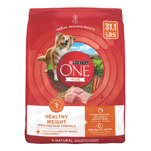 Best Healthy Dog Food for Optimal Canine Health