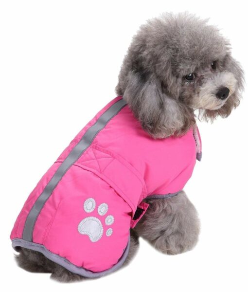 Best dog coats for winter: top picks to keep your pup warm