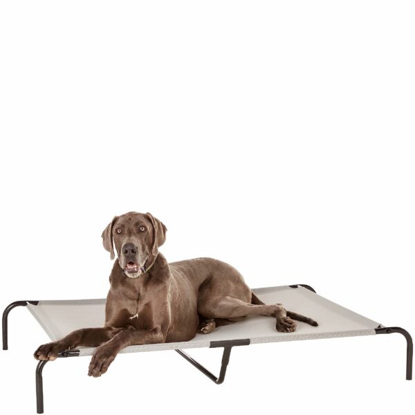 Best dog bed for chewers: top picks for durable and comfortable options