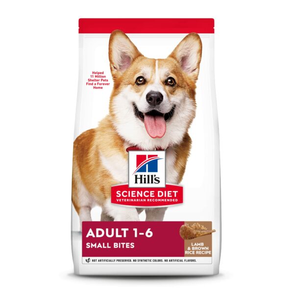 Best dog food for corgis: top picks for optimal health and nutrition